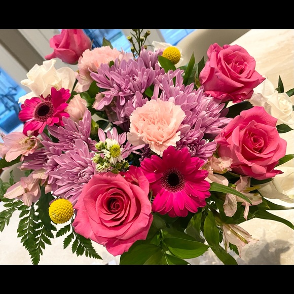 Meet your Posher, Jasmine - Picture 1 of 1